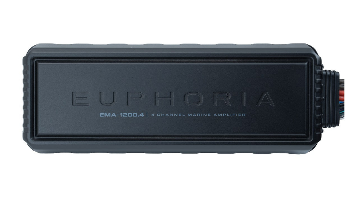 EMA12004