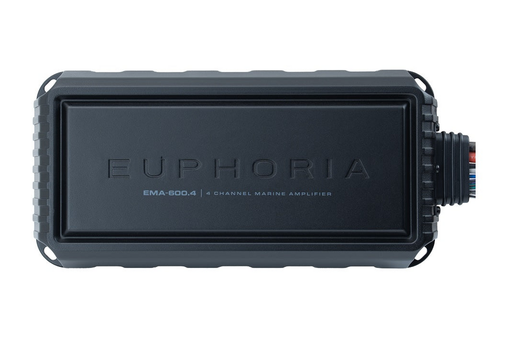 EMA6004